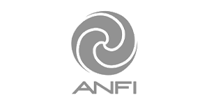 anfi
